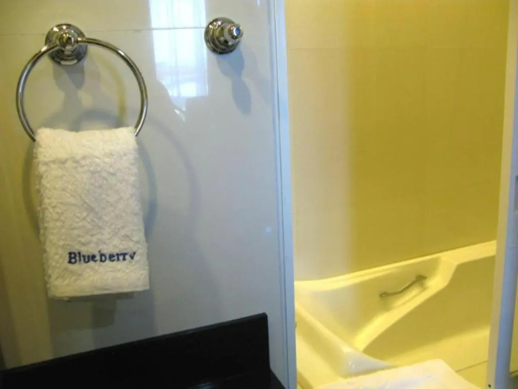 Blueberry Tourist Hotel Davao 3*,